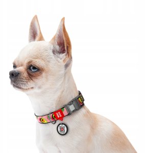 Collar WauDog Nylon Obroża nylonowa z QR-paszportem, plastikowy fastex, wzór AWOKADO NA RÓŻU, M 20mm/28-40cm 4