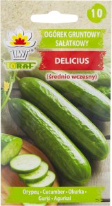 W1339 OGÓREK podłużny DELICIUS NASIONA OGÓRKA WARZYW SADZENIA SAŁATKOWA ODMIANA 2