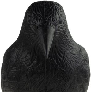 TG60297 DUŻY KRUK ODSTRASZACZ PTAKÓW GOŁĘBI SZPAKÓW 12