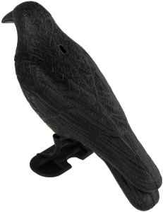 TG60297 DUŻY KRUK ODSTRASZACZ PTAKÓW GOŁĘBI SZPAKÓW 10