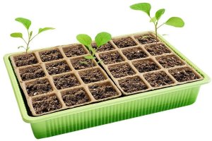 TG71428 MINI SZKLARNIA INSPEKT doniczki torfowe KIEŁKOWNIK ROZSADA 24 komory + taca 11