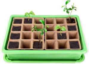 TG71428 MINI SZKLARNIA INSPEKT doniczki torfowe KIEŁKOWNIK ROZSADA 24 komory + taca 6