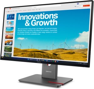 Monitor Lenovo ThinkVision P24QD-40 (64B1GAT1EU) 2
