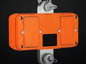 Waga hakowa dźwigowa 500kg 0,5t podwieszana lcd z pilotem nagazynowa 8