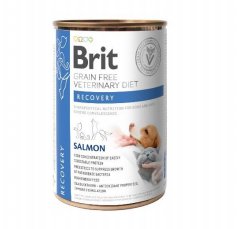 BRIT GF Veterinary Diets Recovery Salmon 6x400g - karma mokra dla psa i kota 2