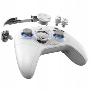 Universal controller for games Bluetooth Flydigi DIREWOLF 2 white 12