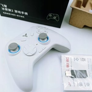 Universal controller for games Bluetooth Flydigi DIREWOLF 2 white 2