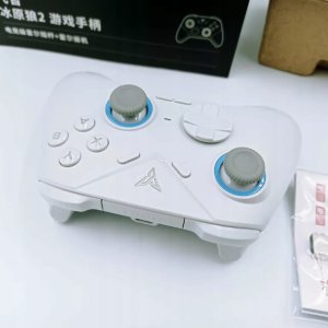 Universal controller for games Bluetooth Flydigi DIREWOLF 2 white 5