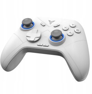 Universal controller for games Bluetooth Flydigi DIREWOLF 2 white 9