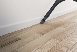 Cyclonic vacuum cleaner HOOVER HP105HM 011 4