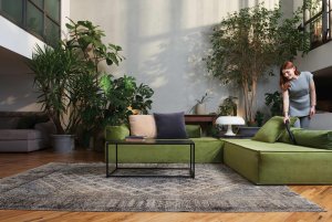 Cyclonic vacuum cleaner HOOVER HP105HM 011 9