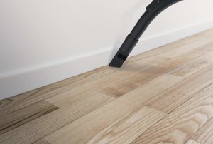 Vacuum cleaner HOOVER HE110HM 011 14