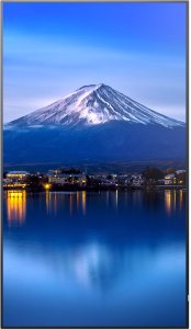 MODEL PN-P656, 65" P-Series Large Format Display, UHD, 700cd/m2, D-LED backlight, 24/7 proof, SDM Slot, CM-Slot 9