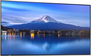 MODEL PN-P656, 65" P-Series Large Format Display, UHD, 700cd/m2, D-LED backlight, 24/7 proof, SDM Slot, CM-Slot 10