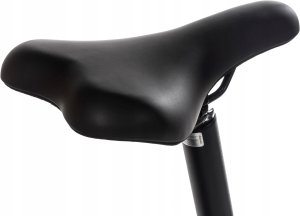 Rower elektryczny składany Snapp City-E Grafit 15