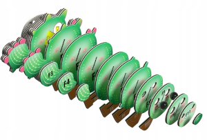 EUGY 3D Cardboard Model Kit - Cactus 6