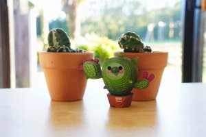 EUGY 3D Cardboard Model Kit - Cactus 9