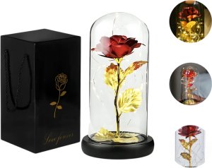 Róża w szkle 2