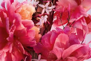 Dior Miss Dior Edp Spray 2