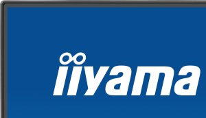 Monitor iiyama ProLite X2492HSU-B1 7