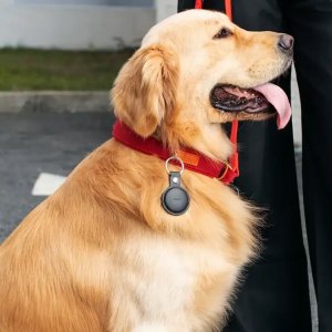 MiLi 3x lokalizator MiTag DUO czarny + etui na Android i iOS 7