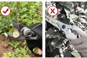 Sekator Verk Sekator elektryczny akumulatorowy nożyce 2 x aku 7