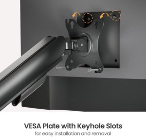 Dual Gas Spring Monitor Mount 2