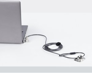 Linka zabezpieczająca StarTech .com 25-Pack Universal Laptop Lock 6.6ft, Keyed Alike Locking Cable, Security Cable, Compatible w/Noble Wedge/Nano/K-Slot, Anti-Theft Cut-Resistant Cable - TAA - zamek zabezpieczający - czarny, srebrny - 2 m - zgodny z TAA ( 7