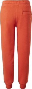 Dziecięce spodnie Iguana LOKIRO TB cherry tomato/nectarine rozmiar 164 [cze] 3