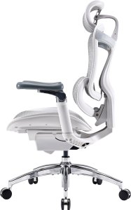 Fotel biurowy Sihoo DORO C300 Pro Mesh White 3