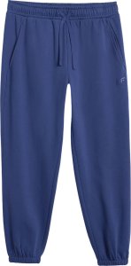 Spodnie męskie 4F CAS M1140 granatowe 4FWMM00TTROM1140 031S 2XL 2