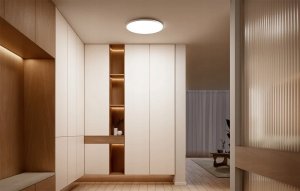 Inteligentna lampa sufitowa CW Yeelight Yeelight Mercury C480 3