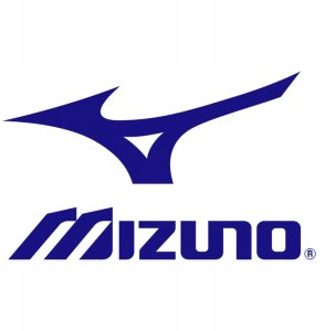 Buty Mizuno NEO VISTA 2 J1GC254704 10