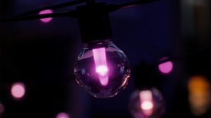 Philips Hue Festavia Outdoor lyskæde med globepærer - 7 m 5