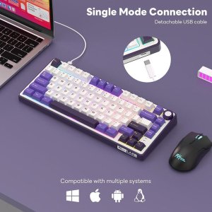 ROYAL KLUDGE R75 Blackberry Mousse Gaming Keyboard Brown switch 2