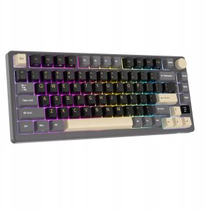 ROYAL KLUDGE RK-M75 Phantom Gaming Keyboard K Silver switch 3