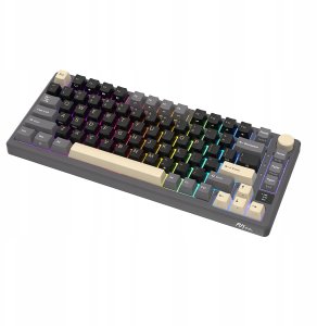ROYAL KLUDGE RK-M75 Phantom Gaming Keyboard K Silver switch 5