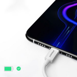 Szybki Kabel Usb C Pisen 1M Do Ładowania I Transmisji Danych Samsung 2