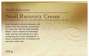 Deoproce Krem do twarzy wielofunkcyjny Recovery Snail 100g 4