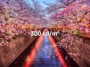 MonitorJapanNextJAPANNEXT 60,5cm JN-I238FHD120F-HSP-YE 16:9 HDMI żółty FHD 11