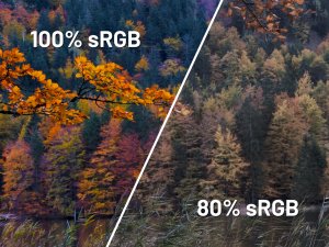 MonitorJapanNextJAPANNEXT 60,5cm JN-I238FHD120F-HSP-YE 16:9 HDMI żółty FHD 13