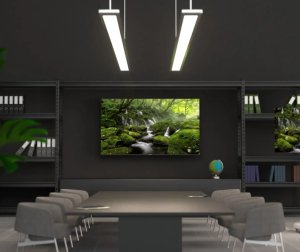 JAPANNEXT 165,1cm JN-IPS650UHD60F 16:9 3x HDMI UHD 6