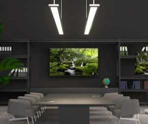 JAPANNEXT 127,0cm JN-IPS500UHD60F 16:9 3x HDMI UHD 10