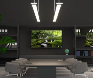 JAPANNEXT 139,7cm JN-IPS550UHD60F 16:9 3x HDMI UHD 6