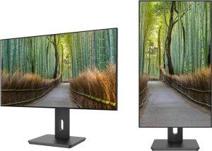 JAPANNEXT 68,5cm JN-27IPS4FLWQHDR-HSP 16:9 HDMI/DP WQHD 3