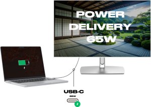 JAPANNEXT 68,6cm JN-IPS27WQHDR-C65W-FLD-T HDMI/DP Touch WQHD 10