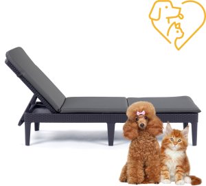 Leżak ogrodowy Keter Jaipur grafit z poduszką Bazkar Premium S49 5