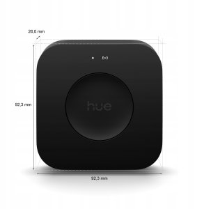 Philips Hue Bridge Pro 10