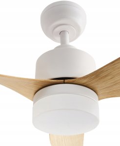 Wentylator sufitowy z lampą ANDERSON Z pilotem Jasnobrązowy 6