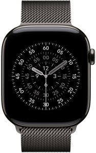 Apple APPLE 46mm Slate Milanese�Loop - M/L 3